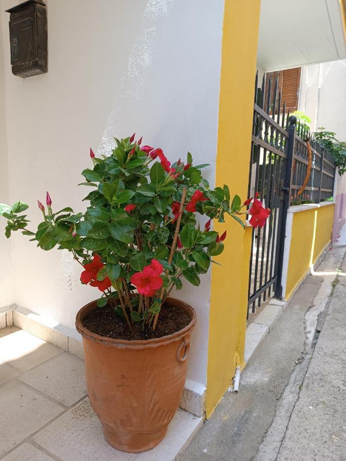 Stefanos Family Apartment Lefkada City Ngoại thất bức ảnh